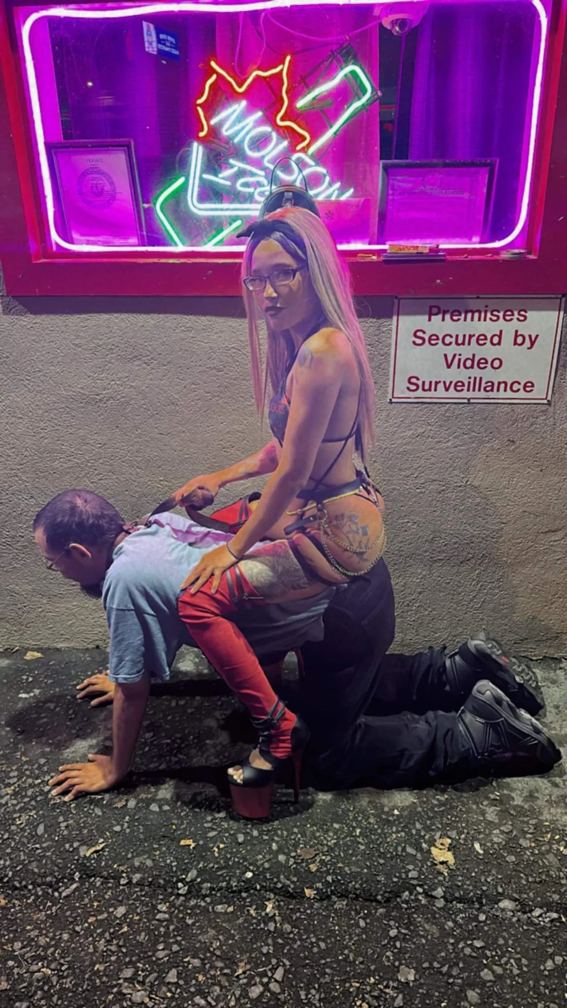 Male slave available in Schenectady NY for women!